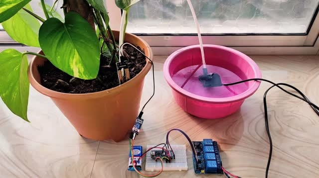 Instagram Reel - Plant Watering Grid